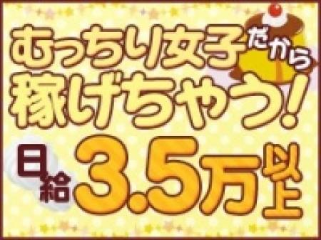 頑張った分だけ稼げちゃいます⭐︎