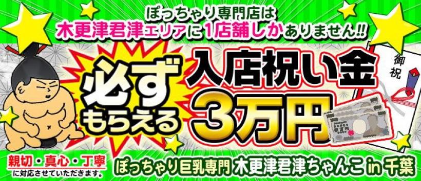 ぽっちゃり巨乳専門木更津君津ちゃんこin千葉の求人