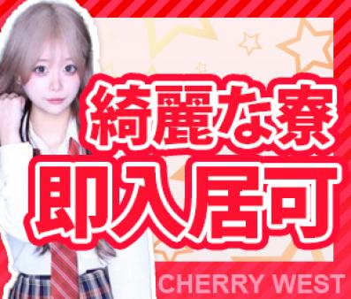 綺麗なワンルームマンション寮完備！