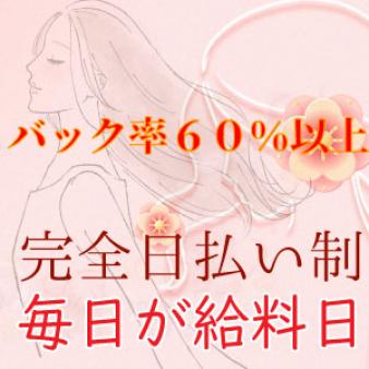 毎日が給料日