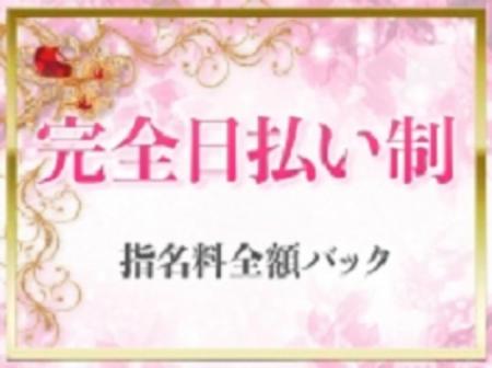 完全日払い