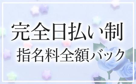 完全日払い制