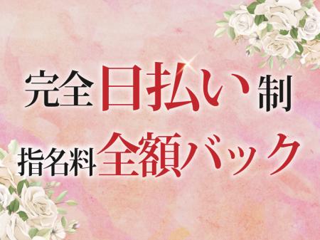 完全日払い制