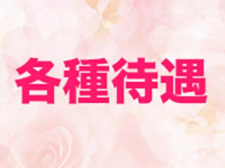 高額給料制