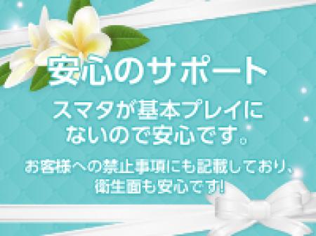 案内のサポート