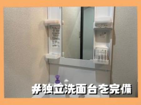 洗面台も綺麗な白基調!