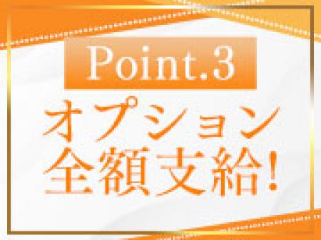 オプション全額お給料
