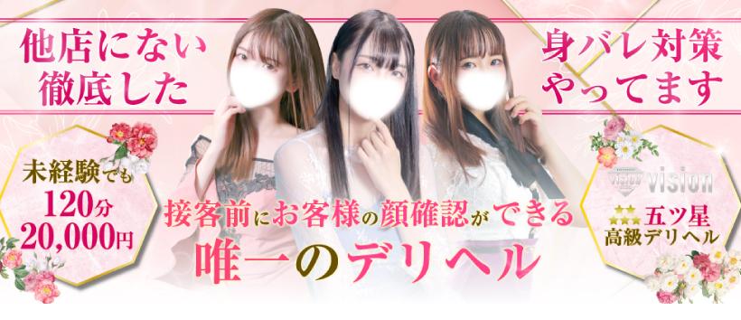 visionの求人