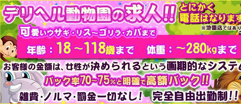 デリヘル動物園 柏店の求人