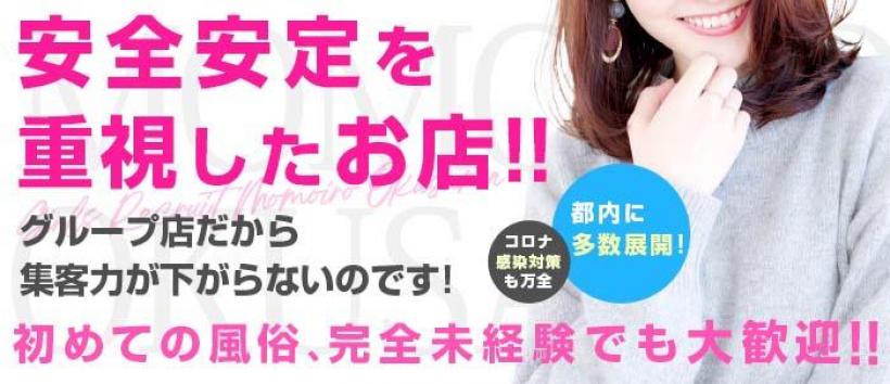 桃色奥様 巣鴨大塚の情事の求人