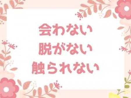 会わない・脱がない・触られない