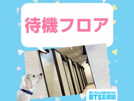 完全個室