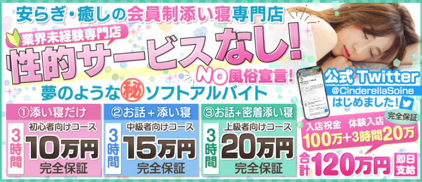 添い寝 シンデレラの求人