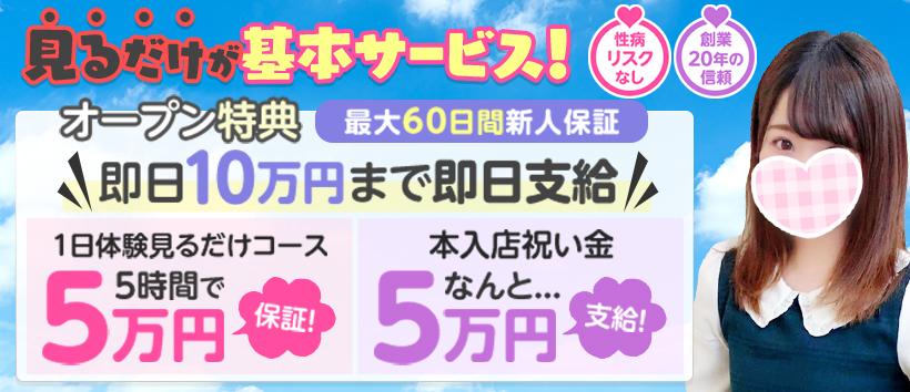 しろうと娘sweetの求人