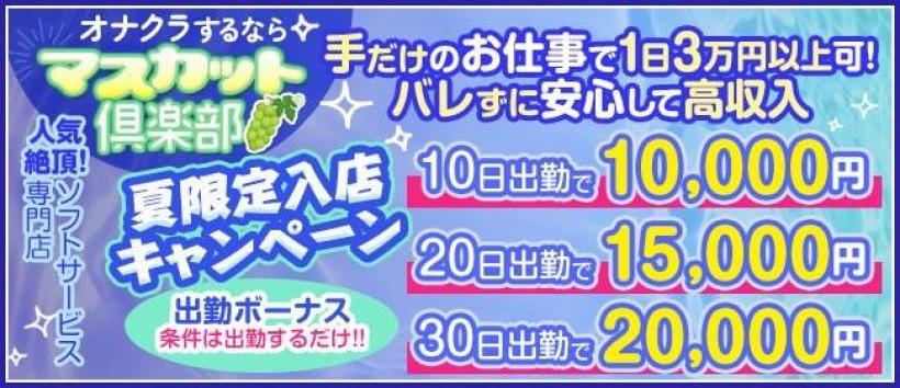 オナクラ　マスカット倶楽部の求人