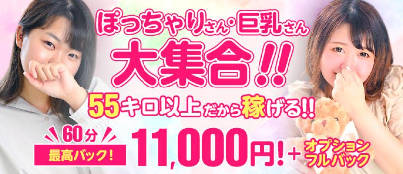 ぽちゃカワ女子専門店 宇都宮店の求人