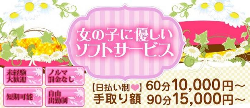 高円寺発 イノセントの求人