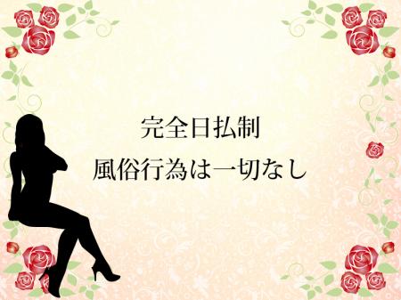 完全日払い制
