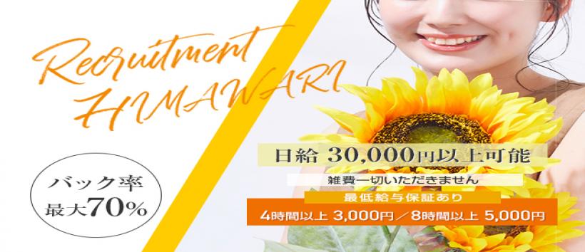 HIMAWARIの求人