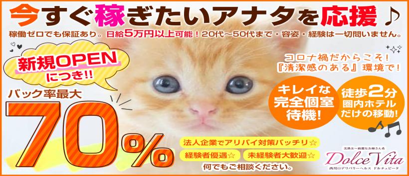 ドルチェヴィータの求人