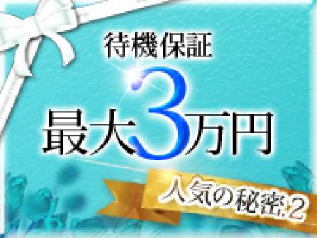 1日の最大保証給3万円