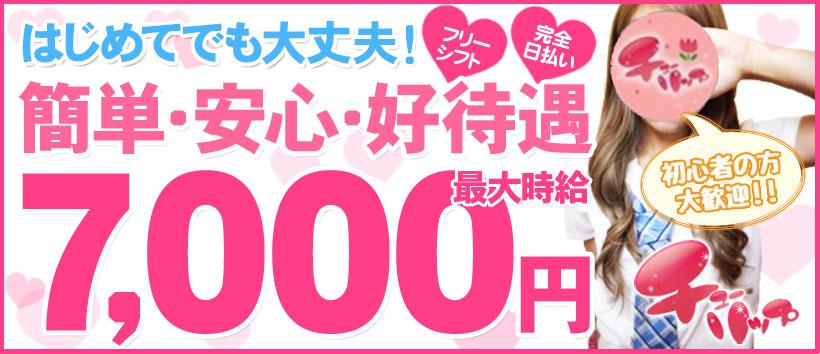 チューリップの求人