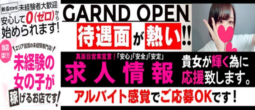 セカンド・イフの求人