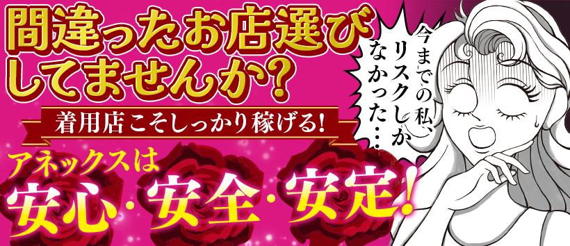 アネックス ジャパンの求人