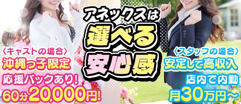 アネックス　ジャパンの求人