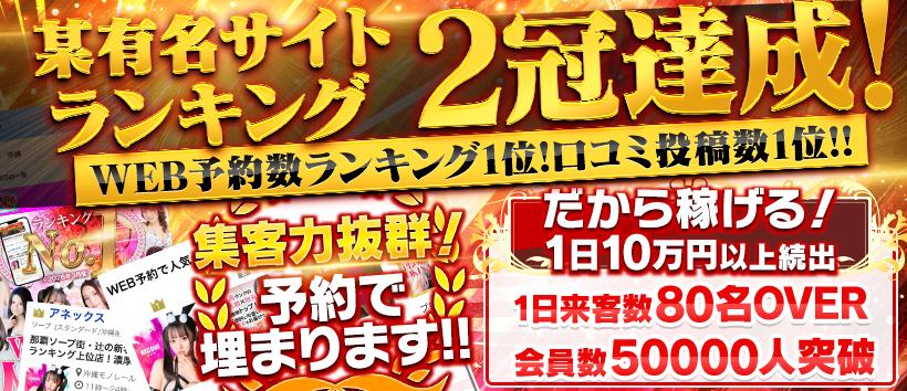 アネックス　ジャパンの求人