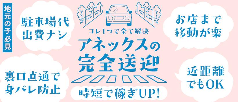 アネックス　ジャパンの求人