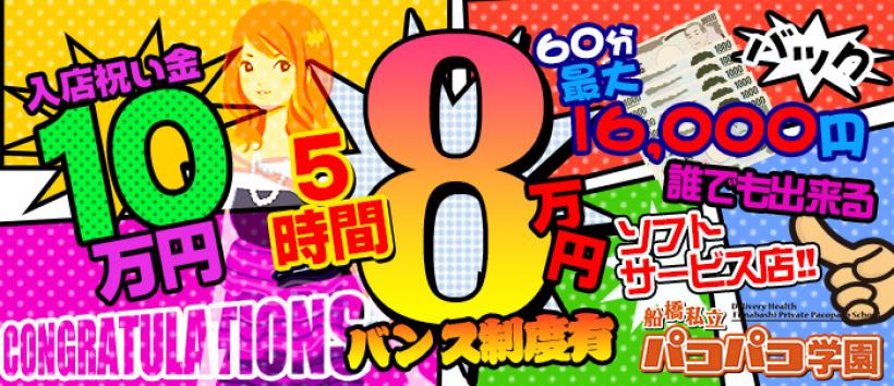 船橋私立パコパコ学園の求人