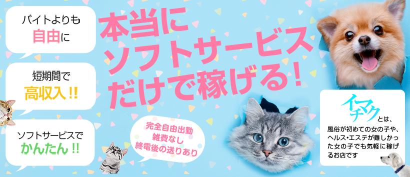 今から乳首を犯しにいってもいいですか?名古屋店の求人