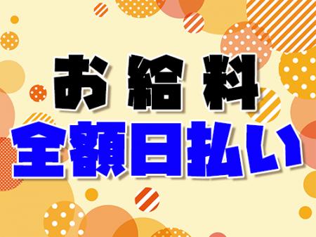 全額日払い制
