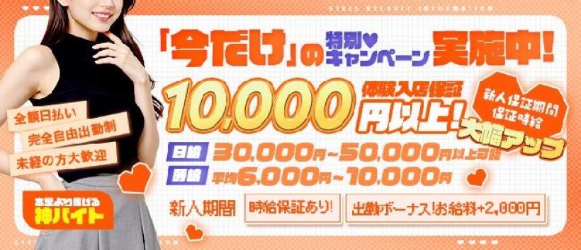デリピン　ハワイの求人