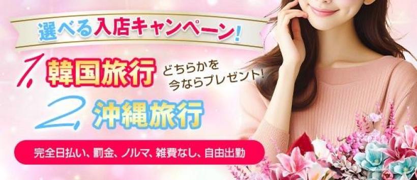 デリピン　ハワイの求人