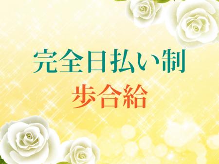 完全日払い制