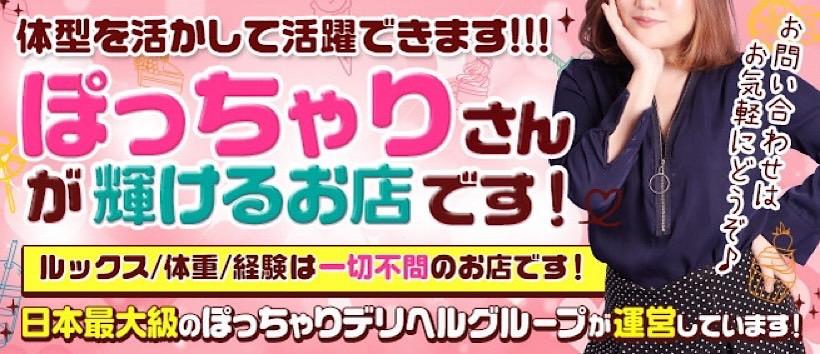 ちゃんこ新潟長岡ちゃんこの求人