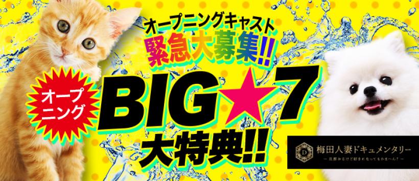 人妻ドキュメンタリーの求人