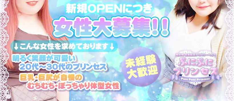 ぷにぷにプリンセスの求人