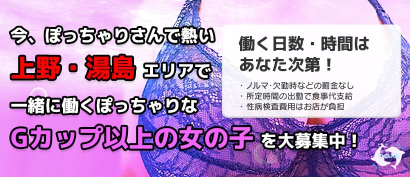naiaの求人