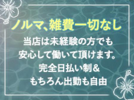ノルマ・雑費ありません!