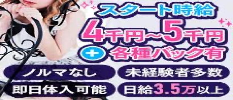 はだえぷの求人