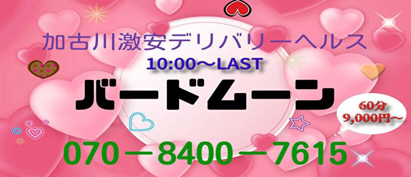 BirdMoonの求人