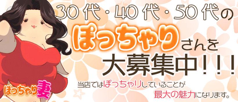 大阪ぽっちゃり妻の求人