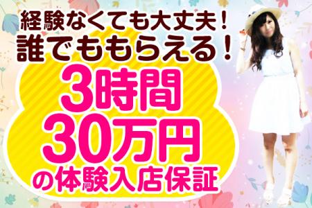 見るだけなので未経験者の方でも、すぐにお仕事できます♪