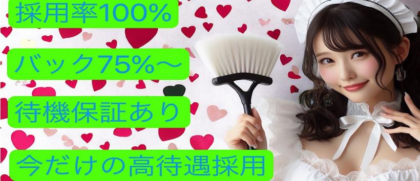 夜のお手伝いさんの求人
