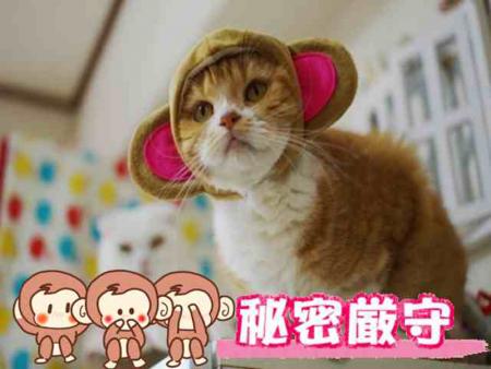 プライベートも安心