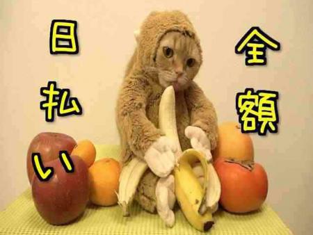 働いてすぐにお給料GET