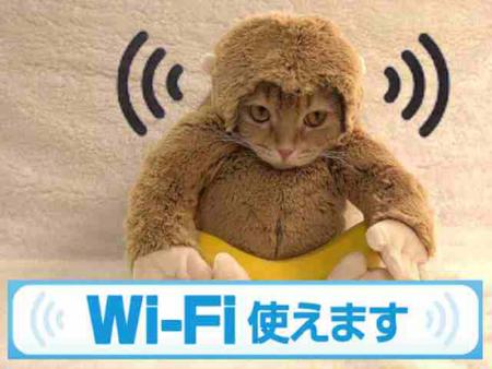 通信料も安心